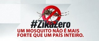 zika (2)